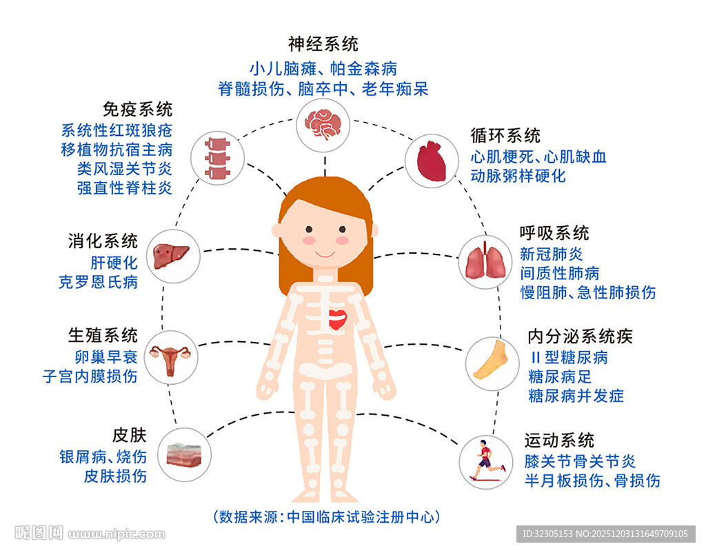身体器官分布示意图