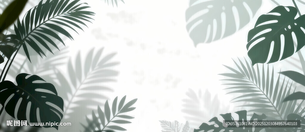 雾气磨砂膜效果绿植贴图