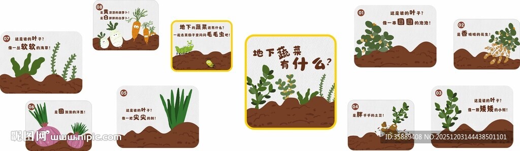 蔬菜 种植 幼儿园