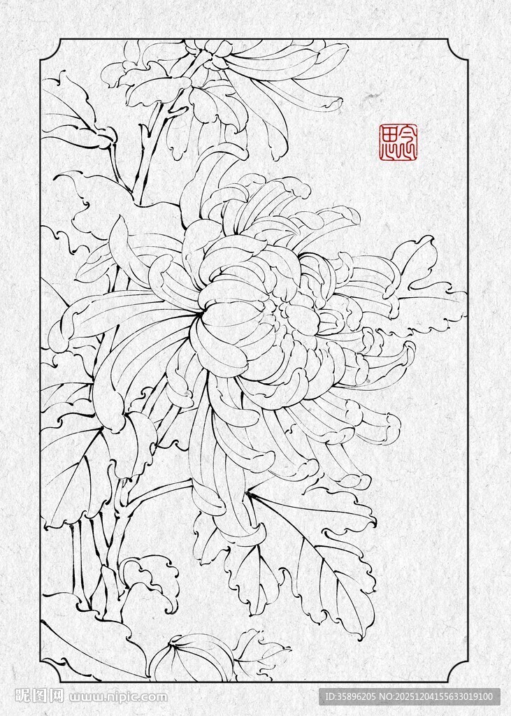 工笔菊花花卉线稿图