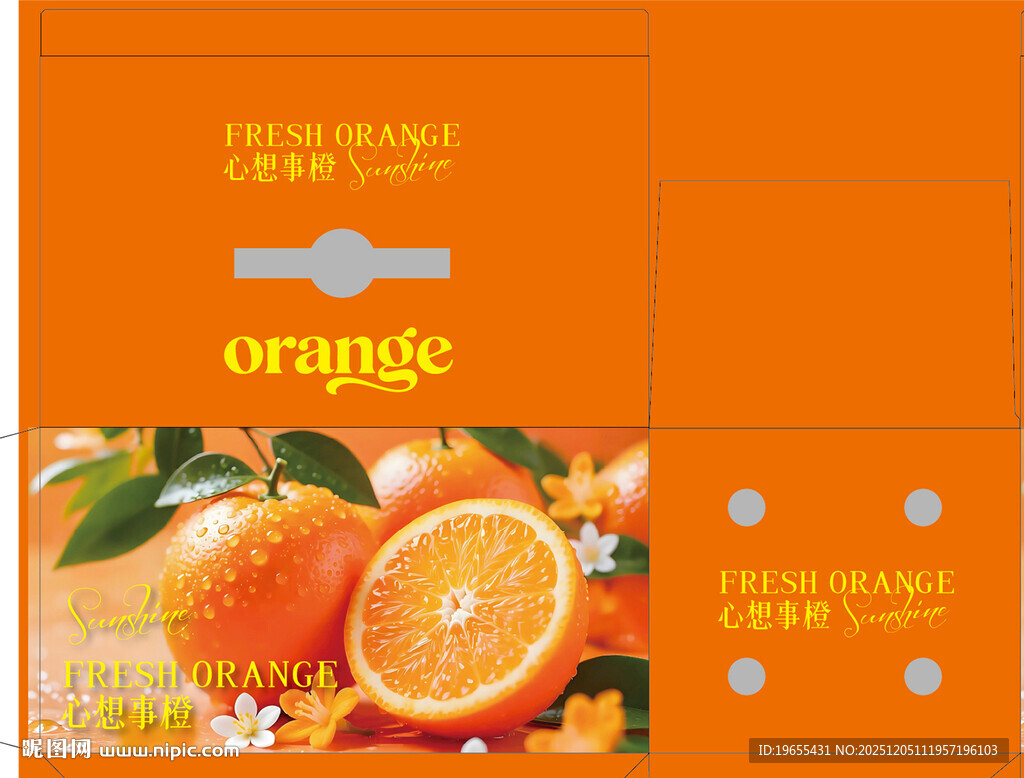 橙色包装橙子产品展示平面图
