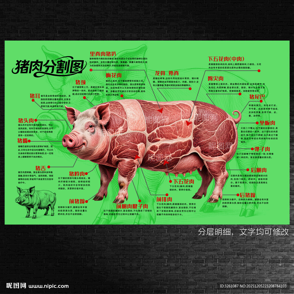 猪肉分割图