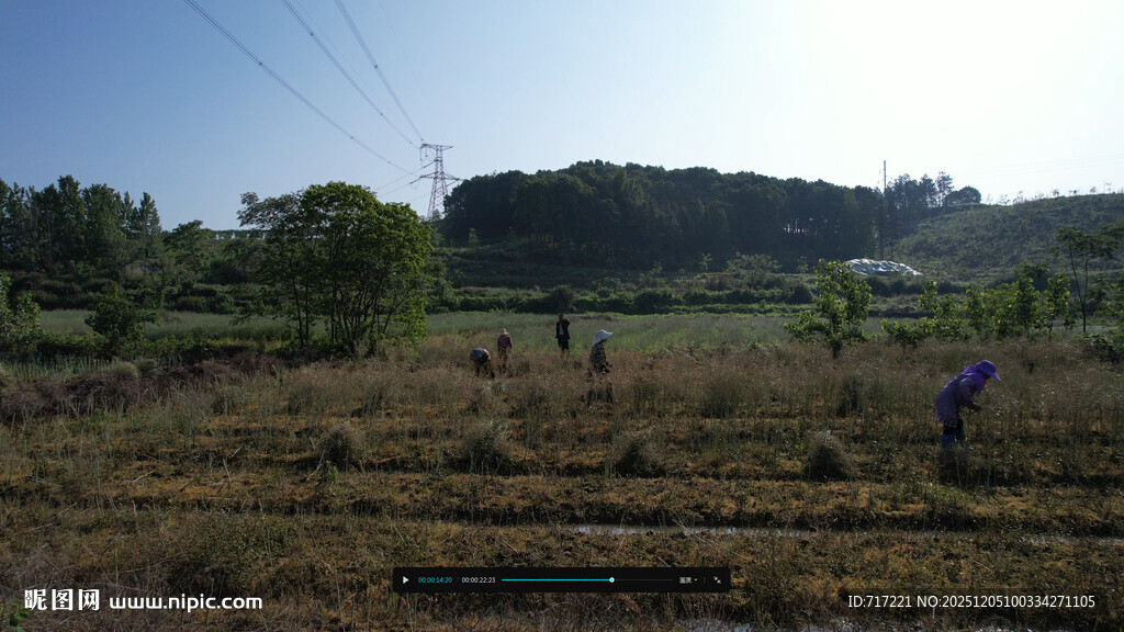 田野劳作场景