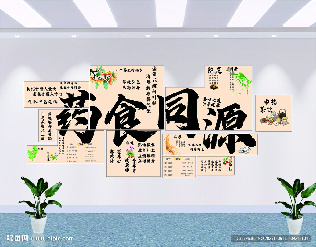 药食同源中医养生馆文化墙展示