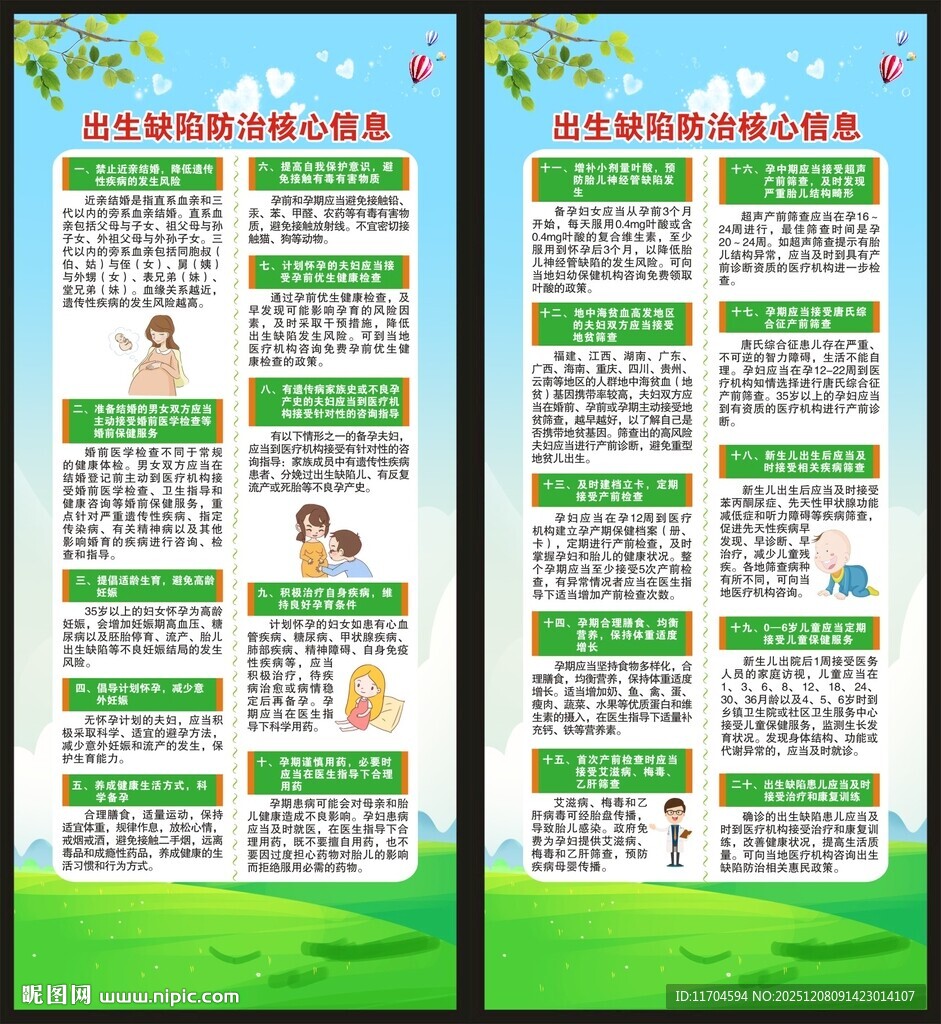 预防出生缺陷核心信息展架