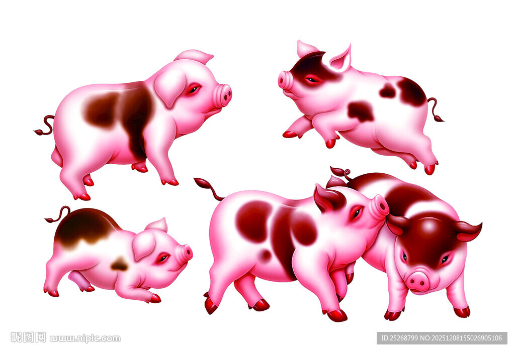 可爱粉色斑点猪群