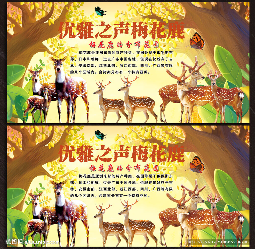 梅花鹿展板