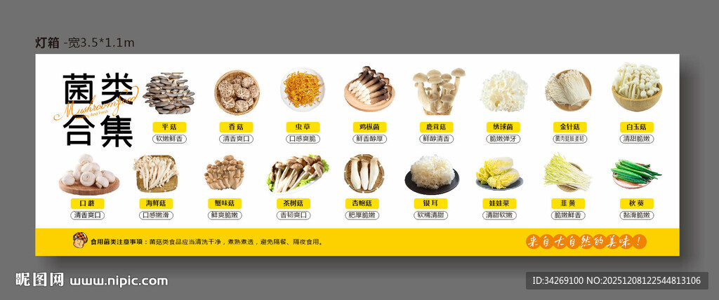 蘑菇菌类合集灯箱