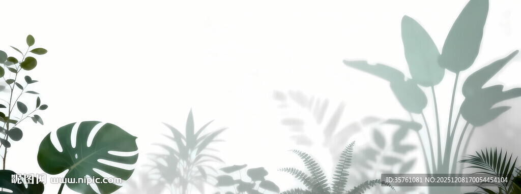 雾气磨砂膜效果绿植贴图