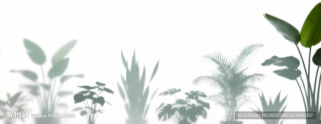 雾气磨砂膜效果绿植贴图