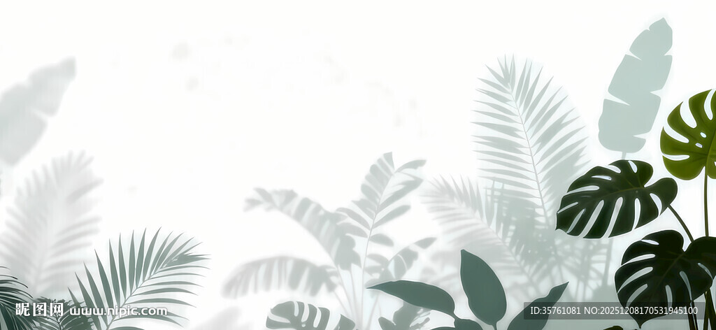 雾气磨砂膜效果绿植贴图