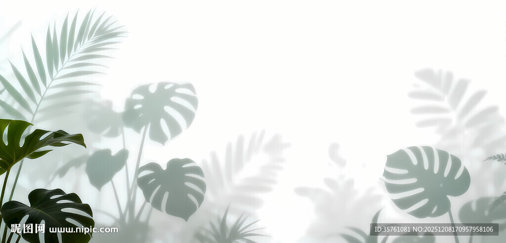 雾气磨砂膜效果绿植贴图