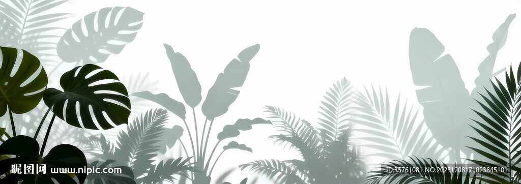 雾气绿植贴图 雾气植物贴图 植