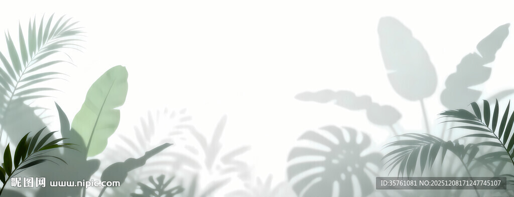 雾气磨砂膜效果绿植贴图