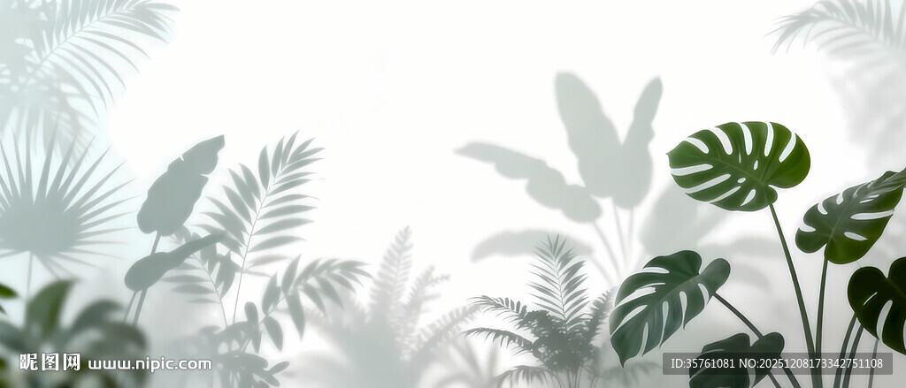 雾气磨砂膜效果绿植贴图