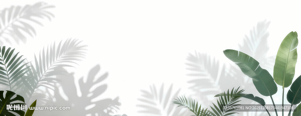 雾气磨砂膜效果绿植贴图