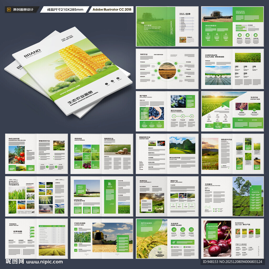 农产品宣传册