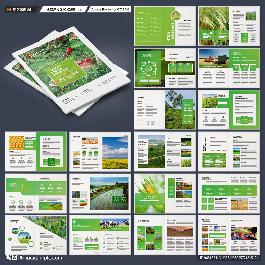 农业合作社画册