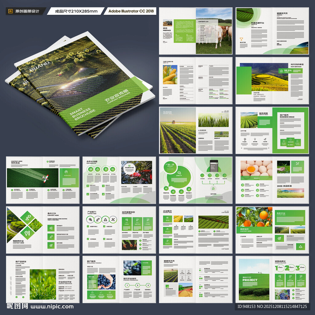 农产品宣传册