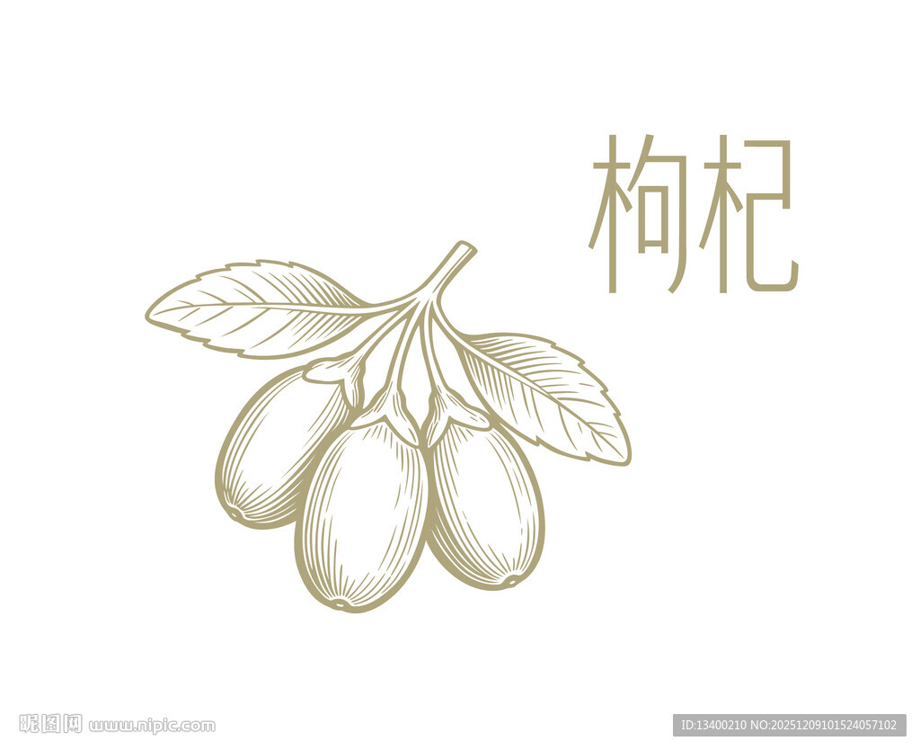 手绘枸杞矢量素材