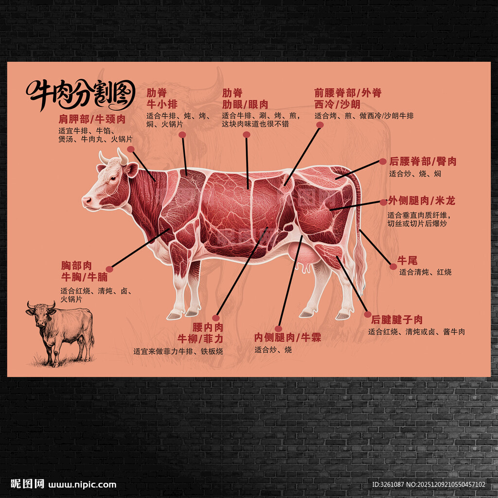 牛肉分割图