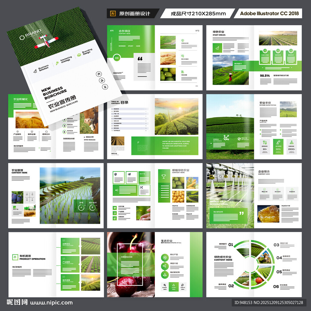 农产品宣传册