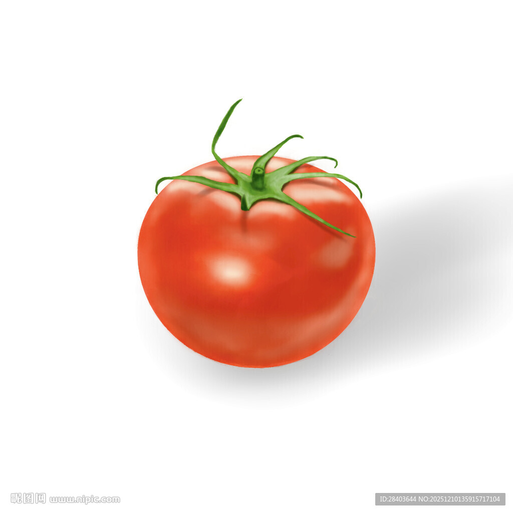 手绘番茄