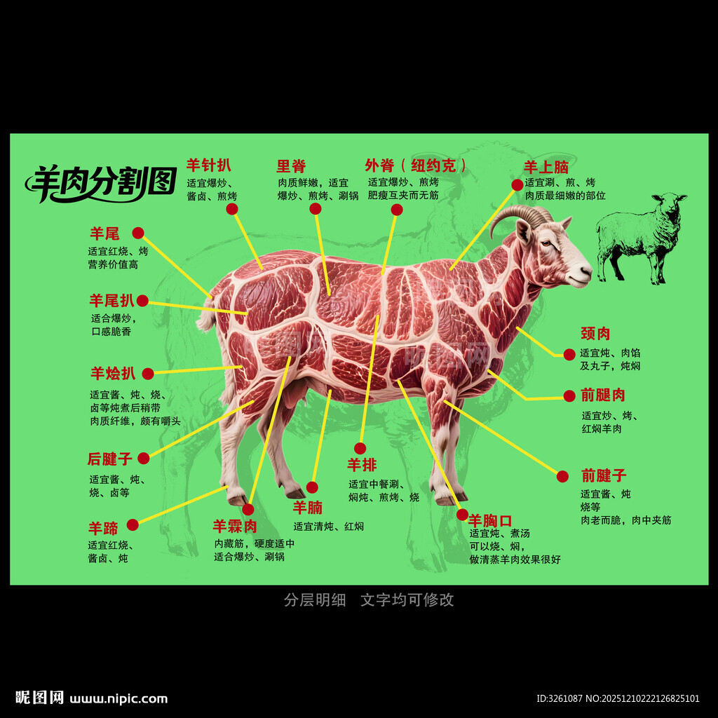 羊肉分割图