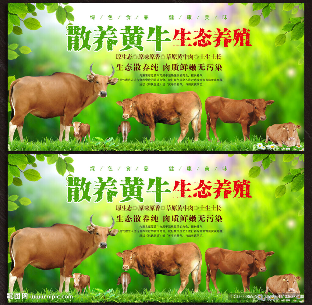 散养黄牛展板
