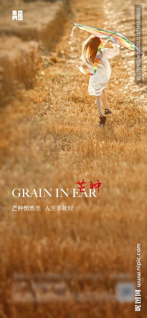 芒种节气海报
