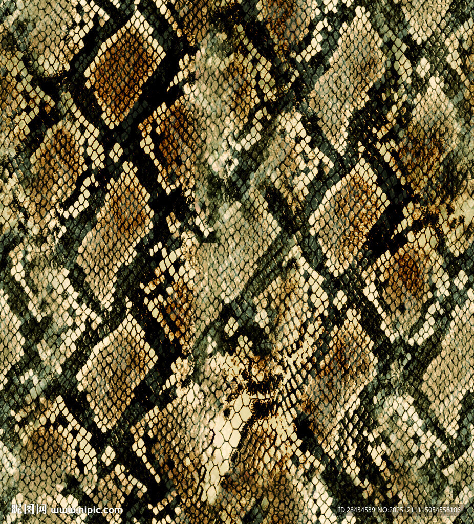 蛇皮纹理图案