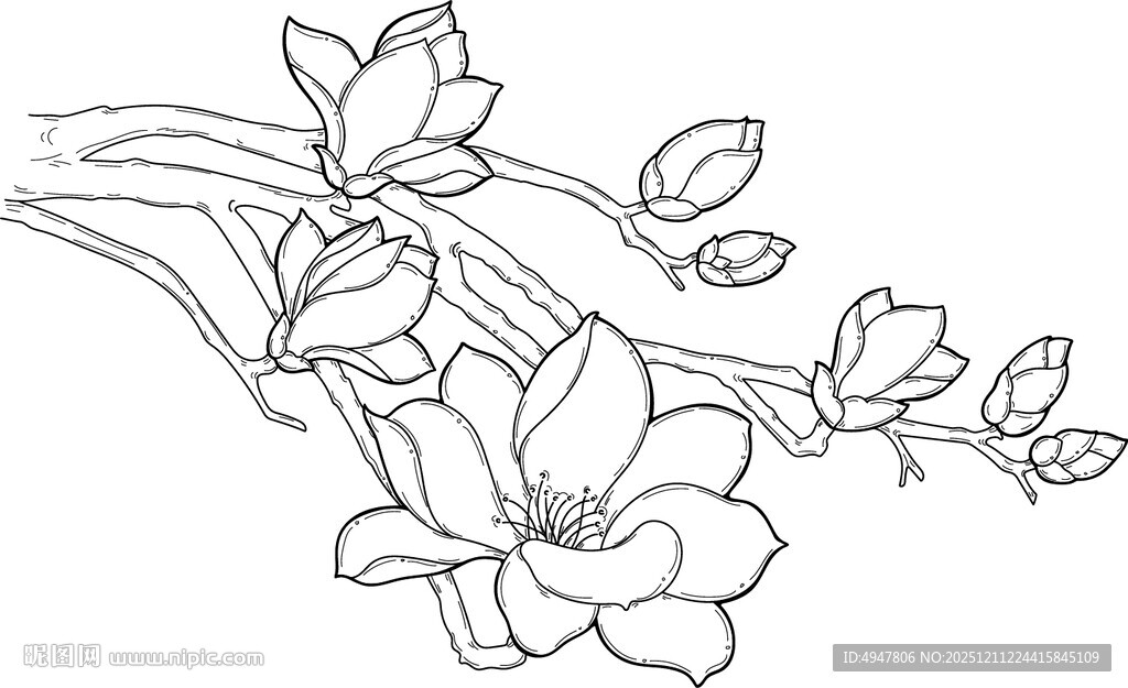 手绘玉兰花枝图案 矢量图