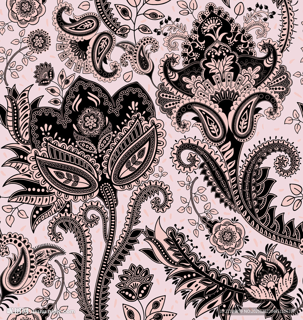 黑白佩斯利花纹精美图案