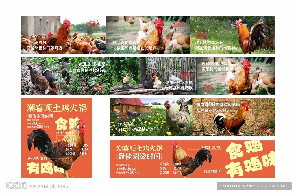 土鸡海报