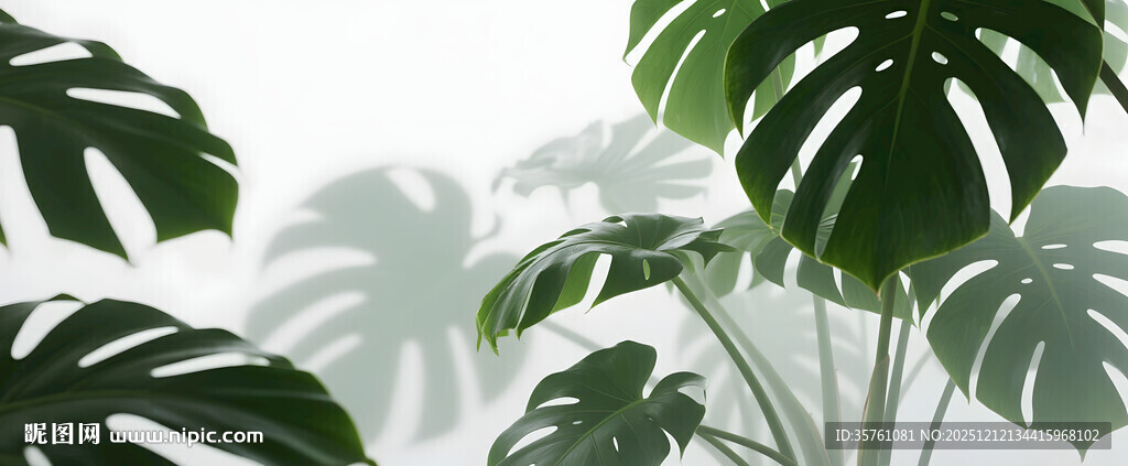 雾气磨砂膜效果绿植贴图