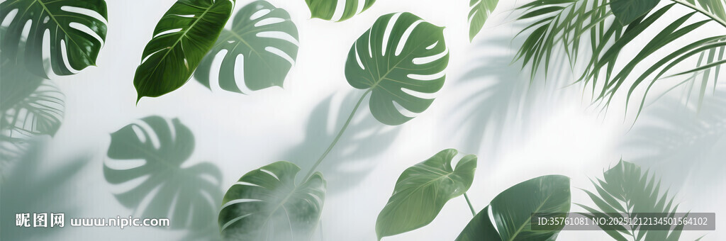 雾气磨砂膜效果绿植贴图