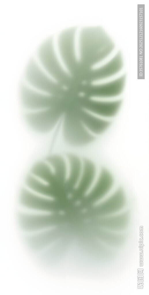 雾气磨砂膜效果绿植贴图