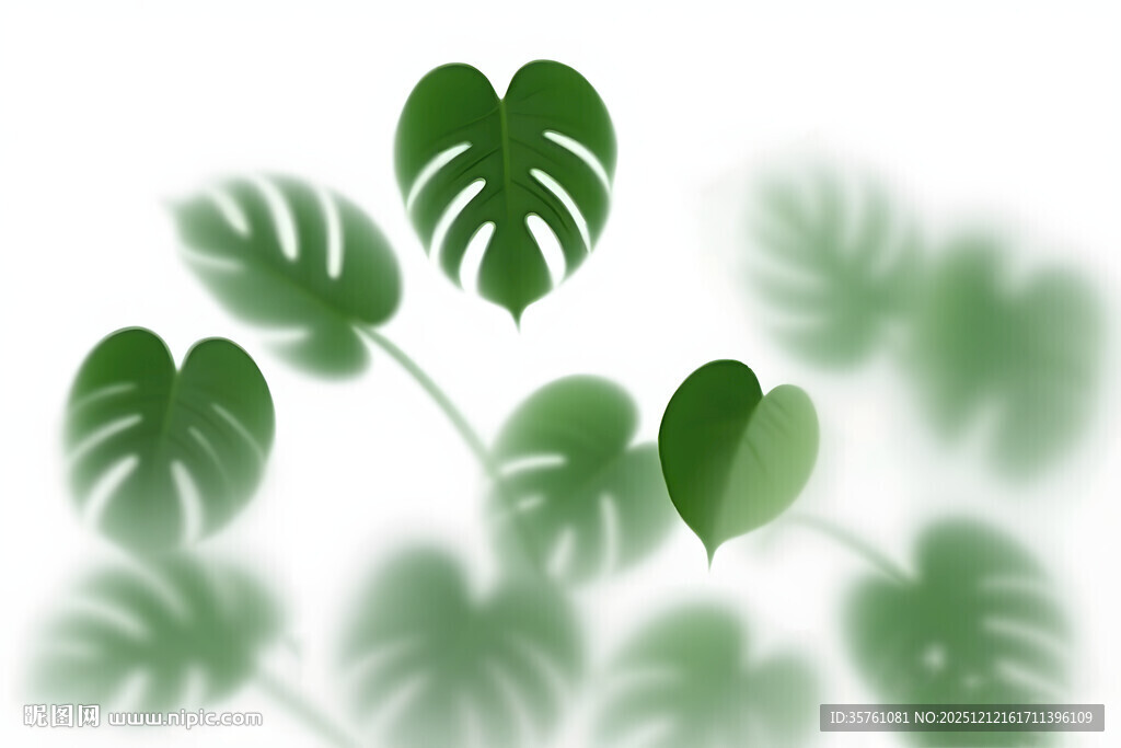 雾气磨砂膜效果绿植贴图 