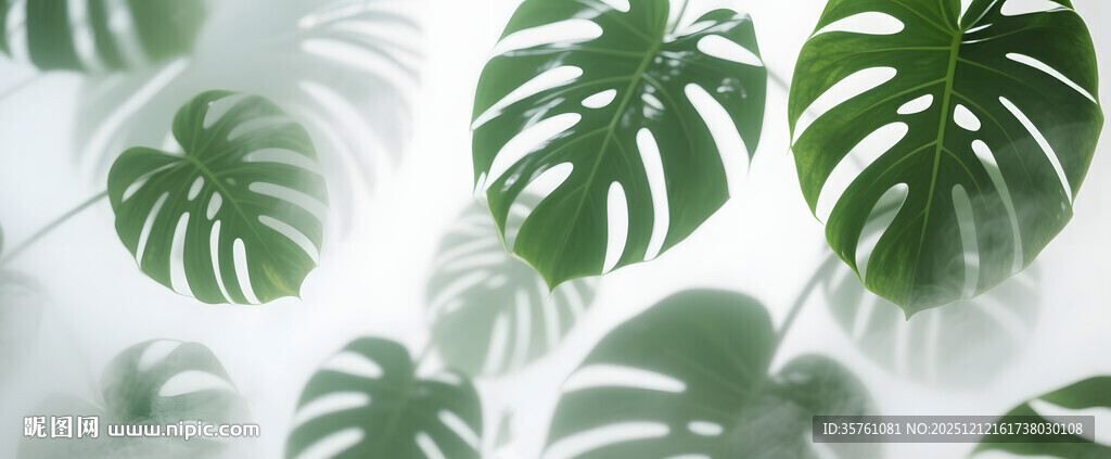 雾气磨砂膜效果绿植贴图