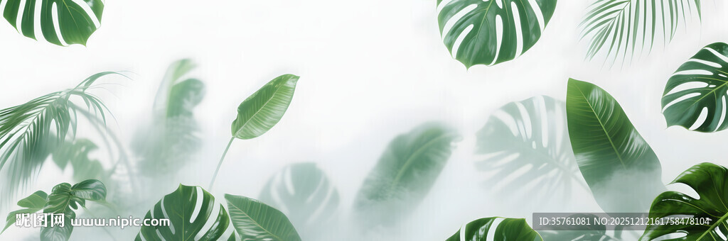 雾气磨砂膜效果绿植贴图