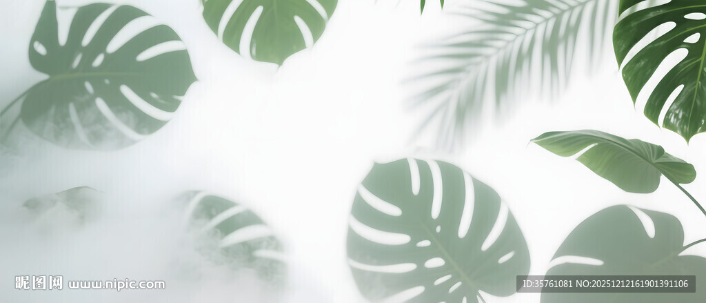 雾气磨砂膜效果绿植贴图