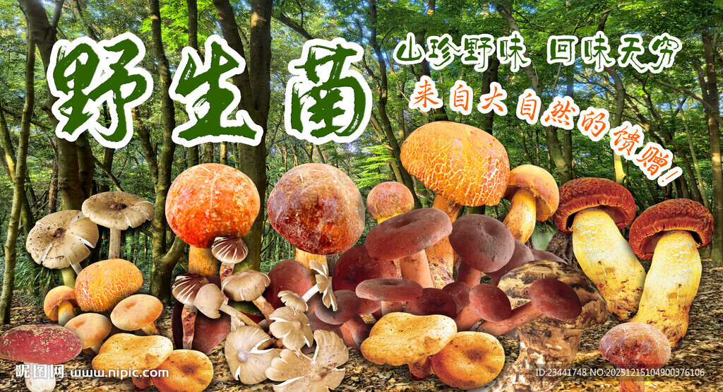野生菌广告