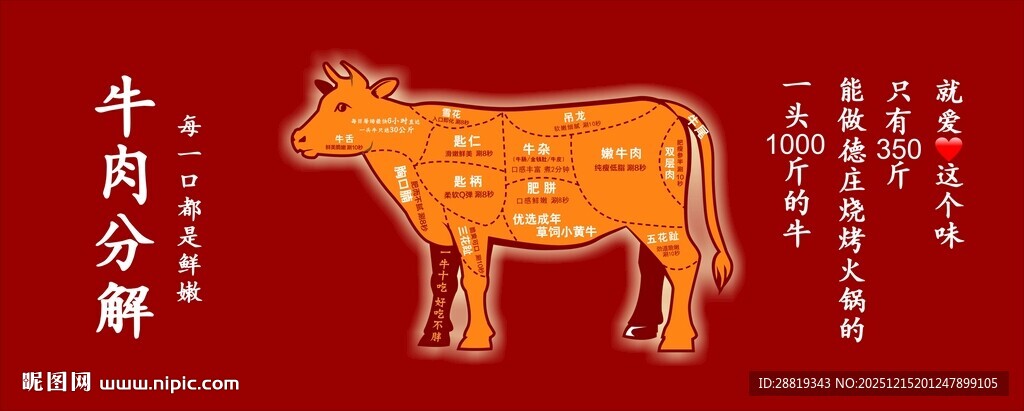 牛肉分解