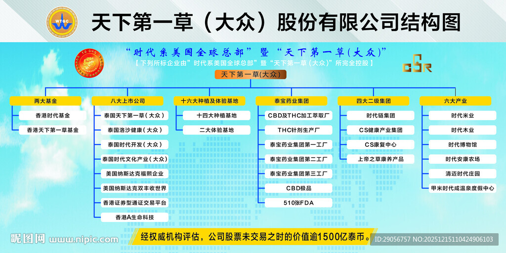 大众股份公司架构图