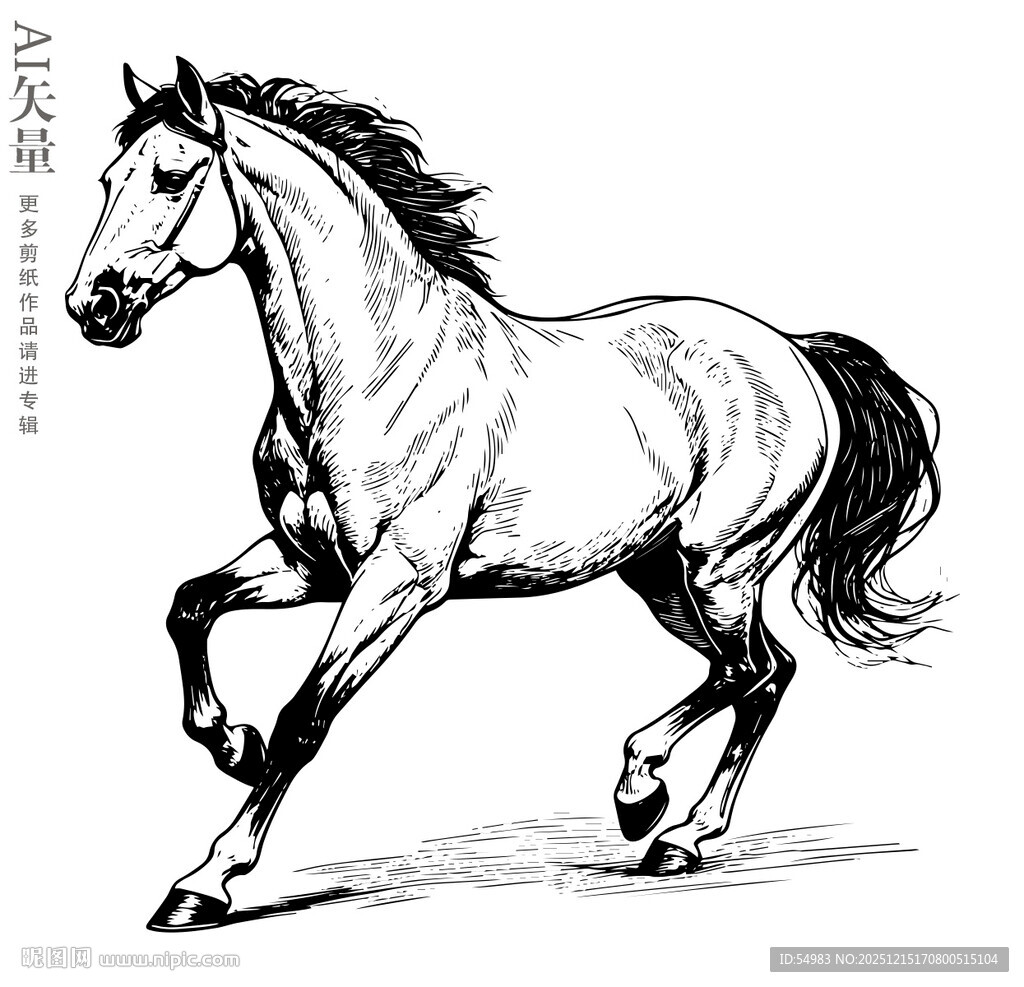 奔跑的骏马钢笔画马铅笔画素描
