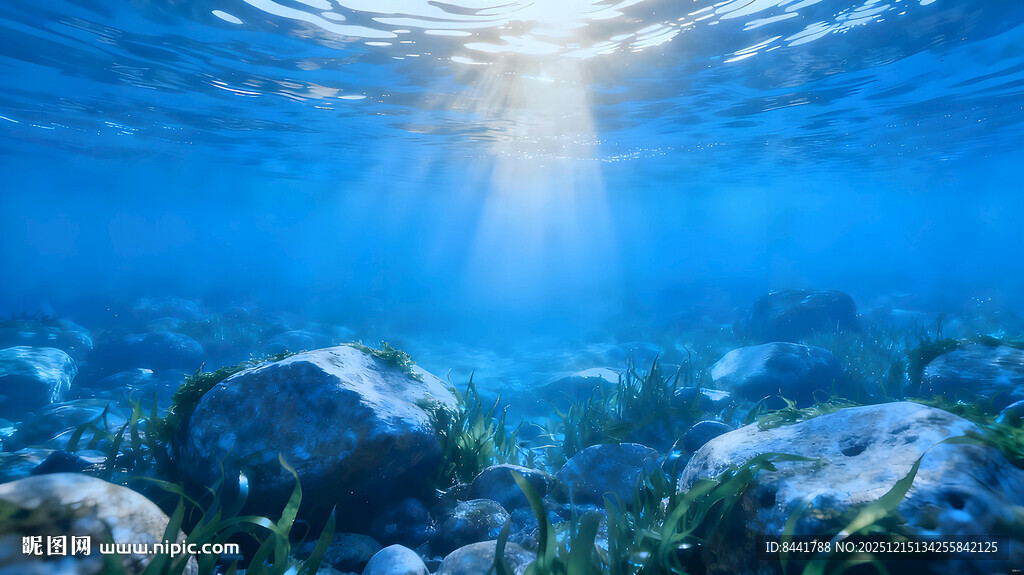 海底阳光照耀的美丽景象