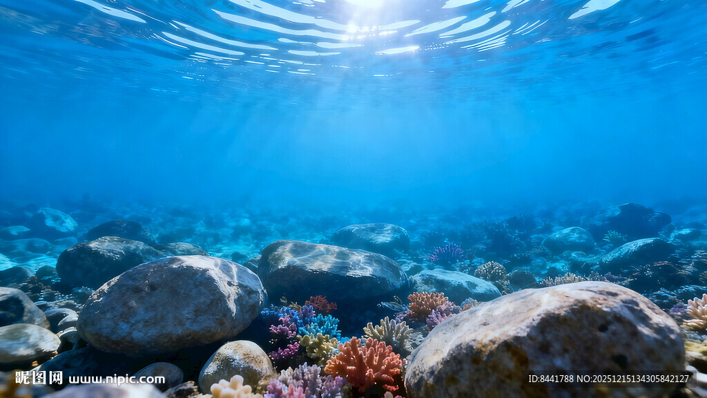 海底斑斓世界 多彩礁石