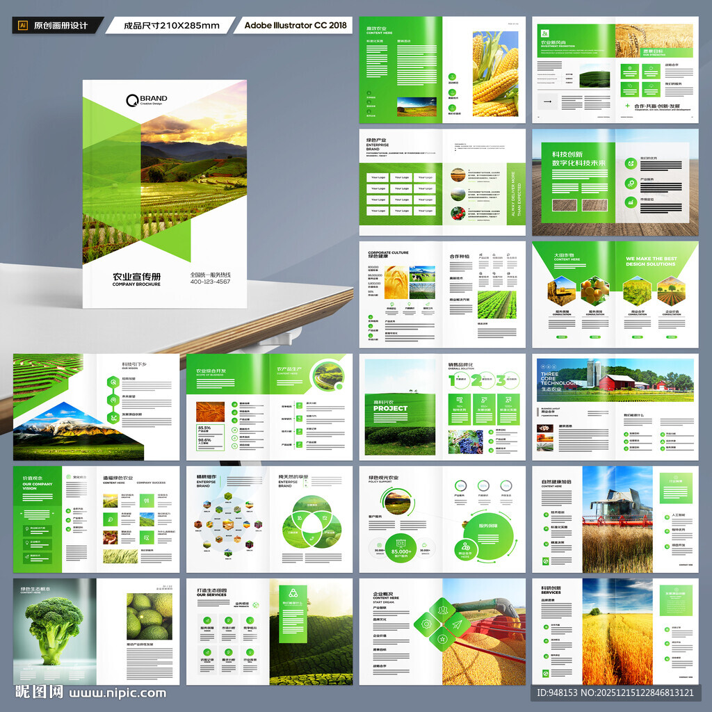农产品宣传册