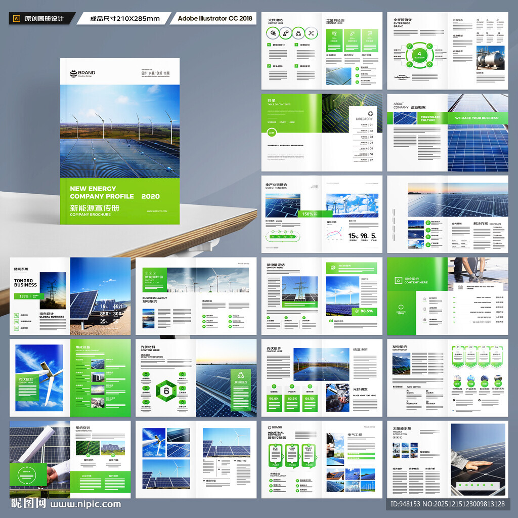 新能源宣传册