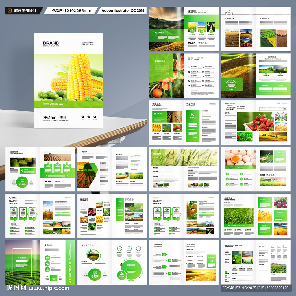 农产品宣传册